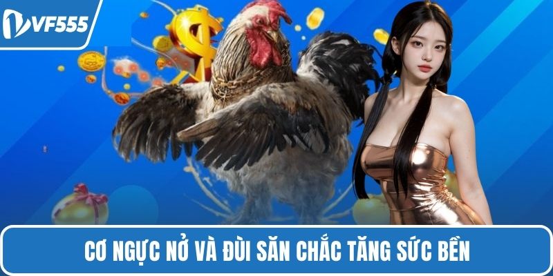 Cơ ngực nở và đùi săn chắc tăng sức bền