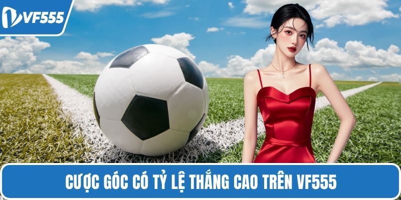 Cược góc có tỷ lệ thắng cao trên VF555