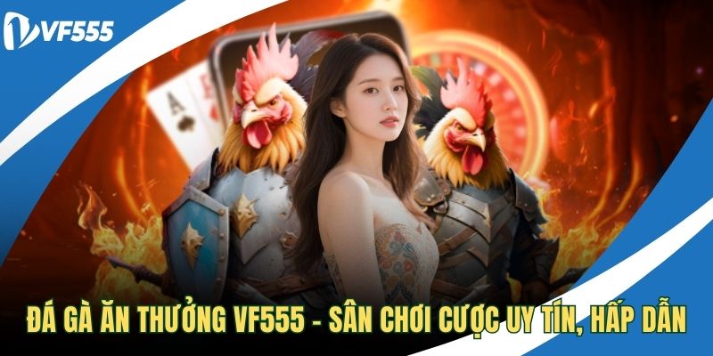 Đá gà ăn thưởng VF555