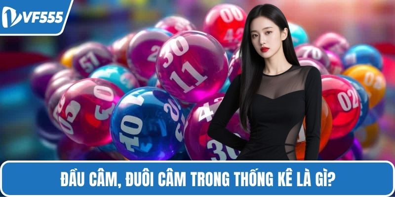 Đầu câm, đuôi câm trong thống kê là gì?