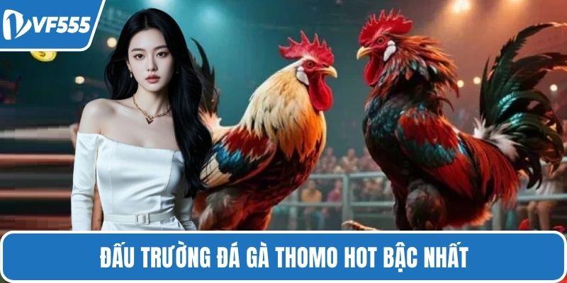 Đấu trường đá gà Thomo hot bậc nhất