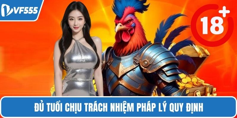 Đủ tuổi chịu trách nhiệm pháp lý quy định