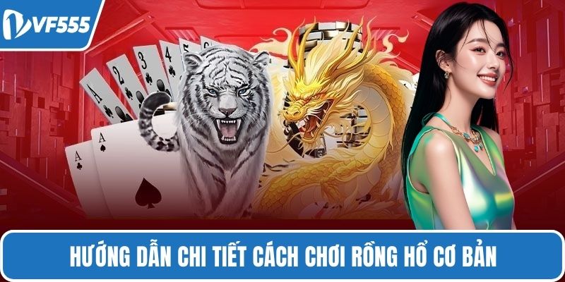 Hướng dẫn chi tiết cách chơi rồng hổ cơ bản