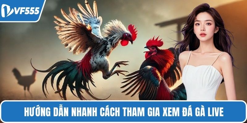Hướng dẫn nhanh cách tham gia xem đá gà live