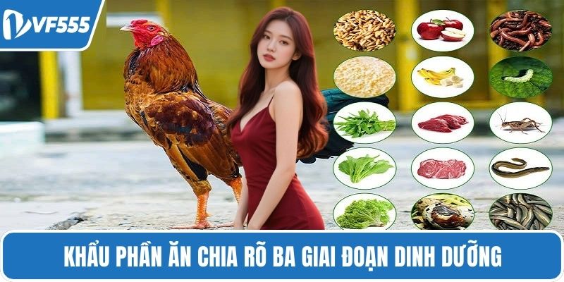 Khẩu phần ăn chia rõ ba giai đoạn dinh dưỡng