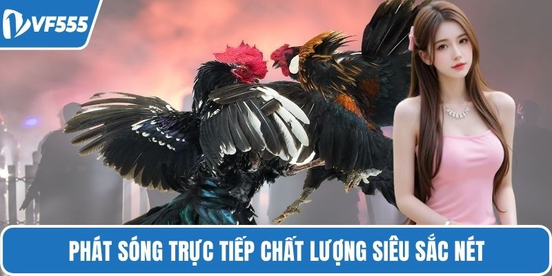 Phát sóng trực tiếp chất lượng siêu sắc nét