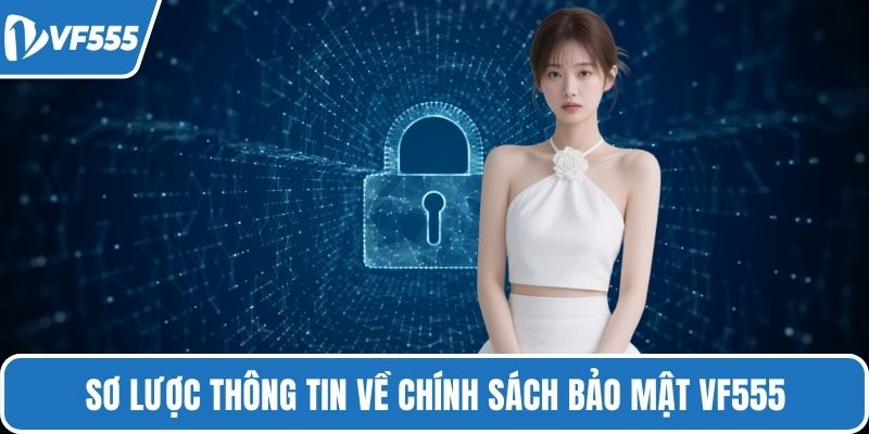 Sơ lược thông tin về chính sách bảo mật VF555