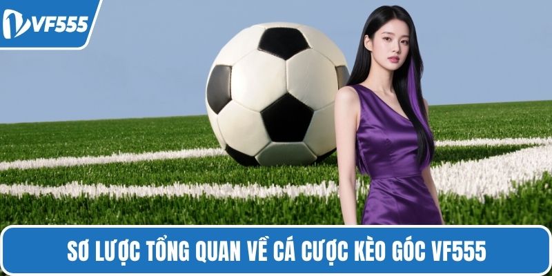 Sơ lược tổng quan về cá cược kèo góc VF555