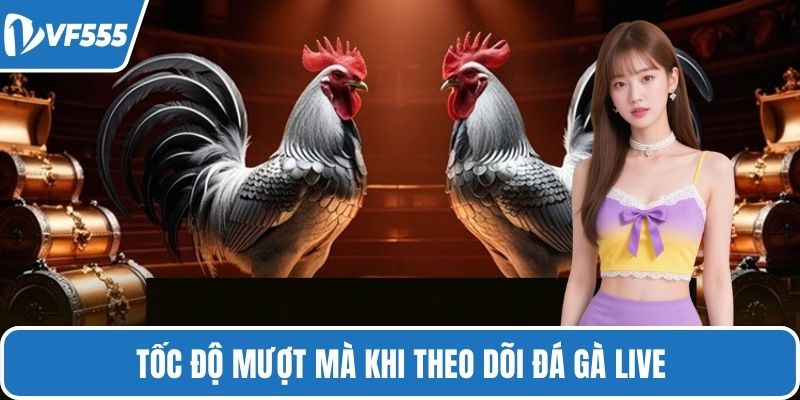 Tốc độ mượt mà khi theo dõi đá gà live