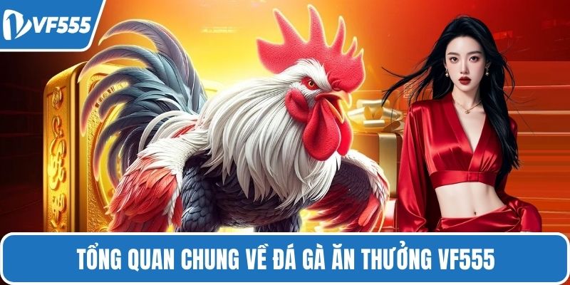 Tổng quan chung về đá gà ăn thưởng VF555