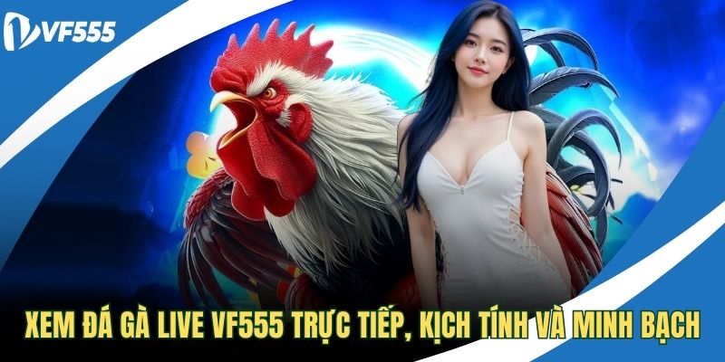 Xem đá gà live VF555