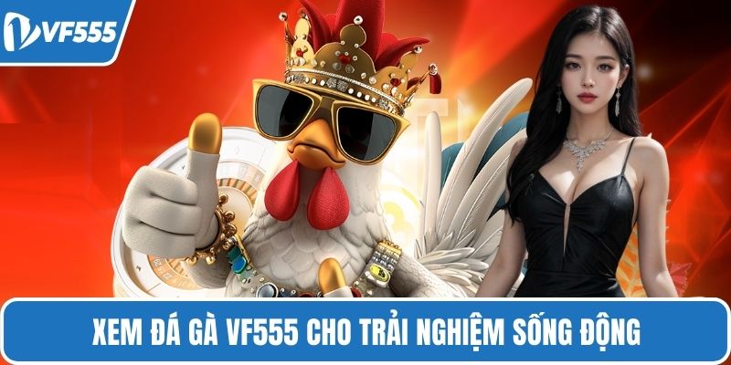 Xem đá gà VF555 cho trải nghiệm sống động